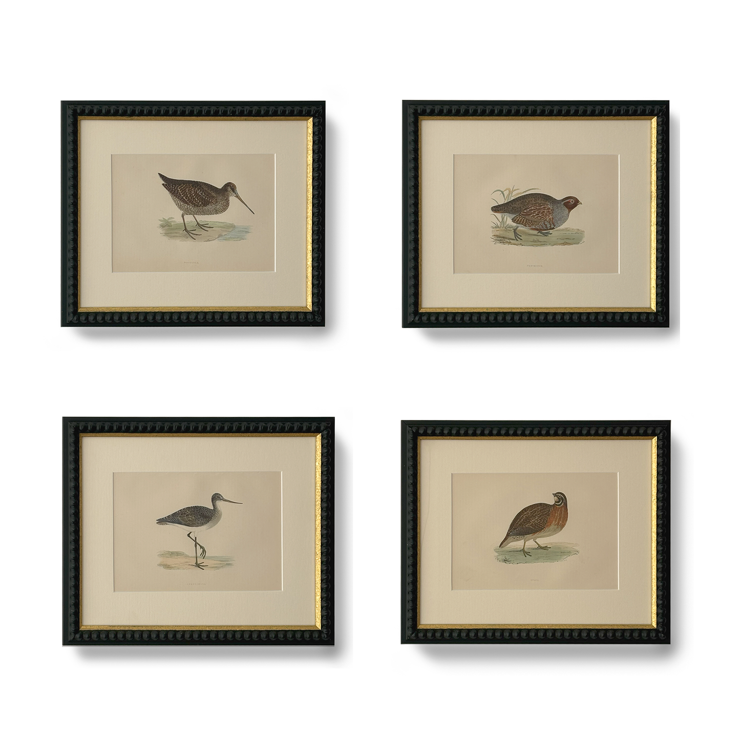 Field Partridge - Beeches Art Collective