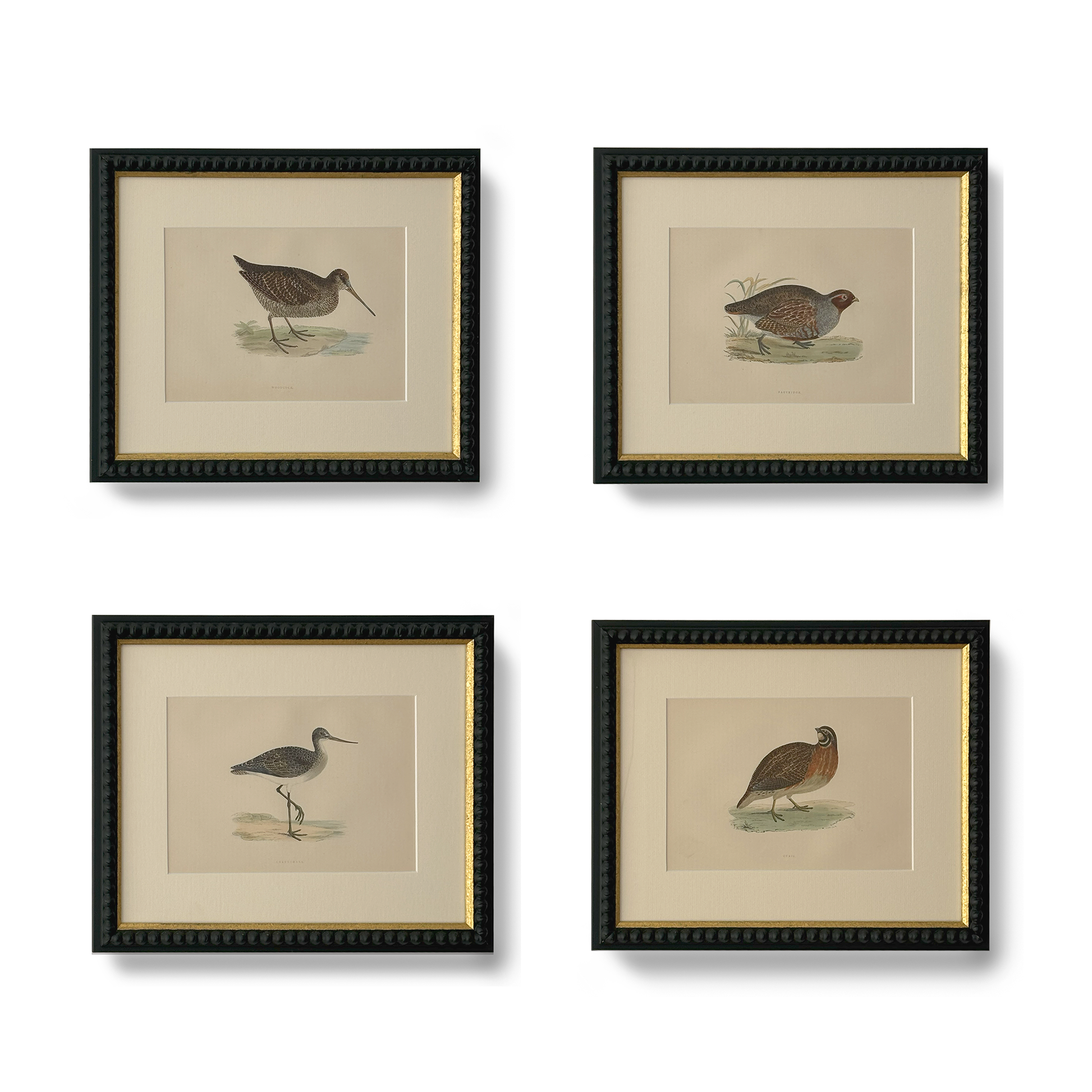 Elegant Wader - Beeches Art Collective