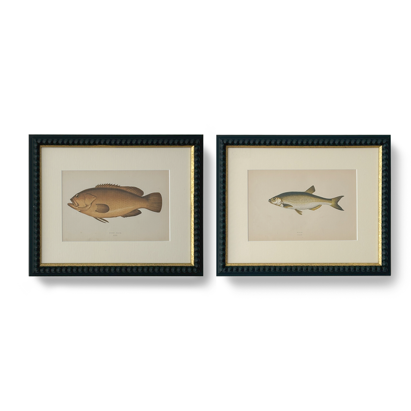 Brown Perch - Beeches Art Collective
