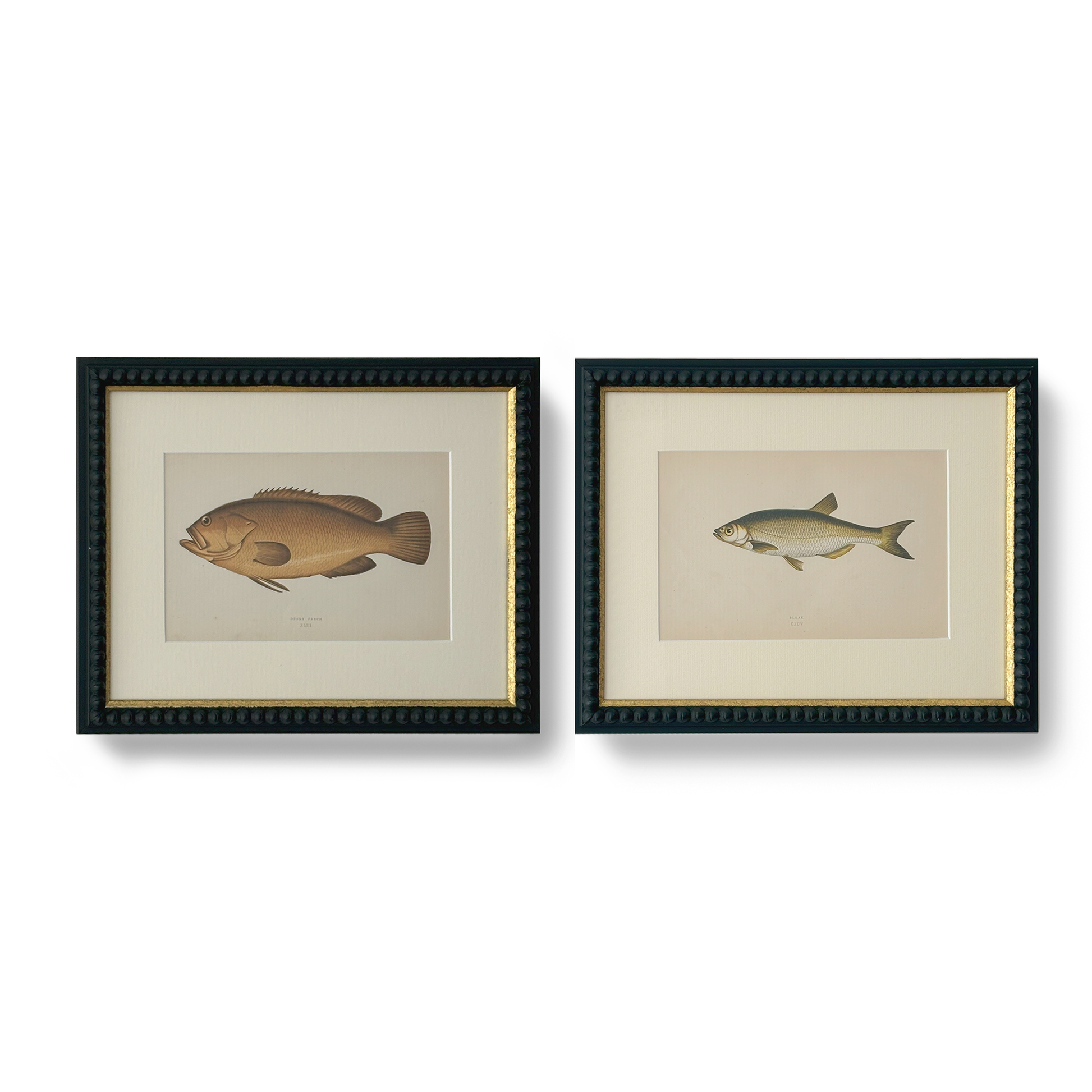 Brown Perch - Beeches Art Collective