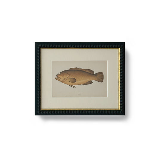Brown Perch - Beeches Art Collective