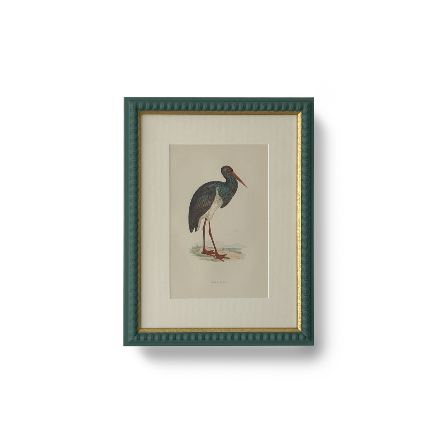 Black Stork - Beeches Art Collective