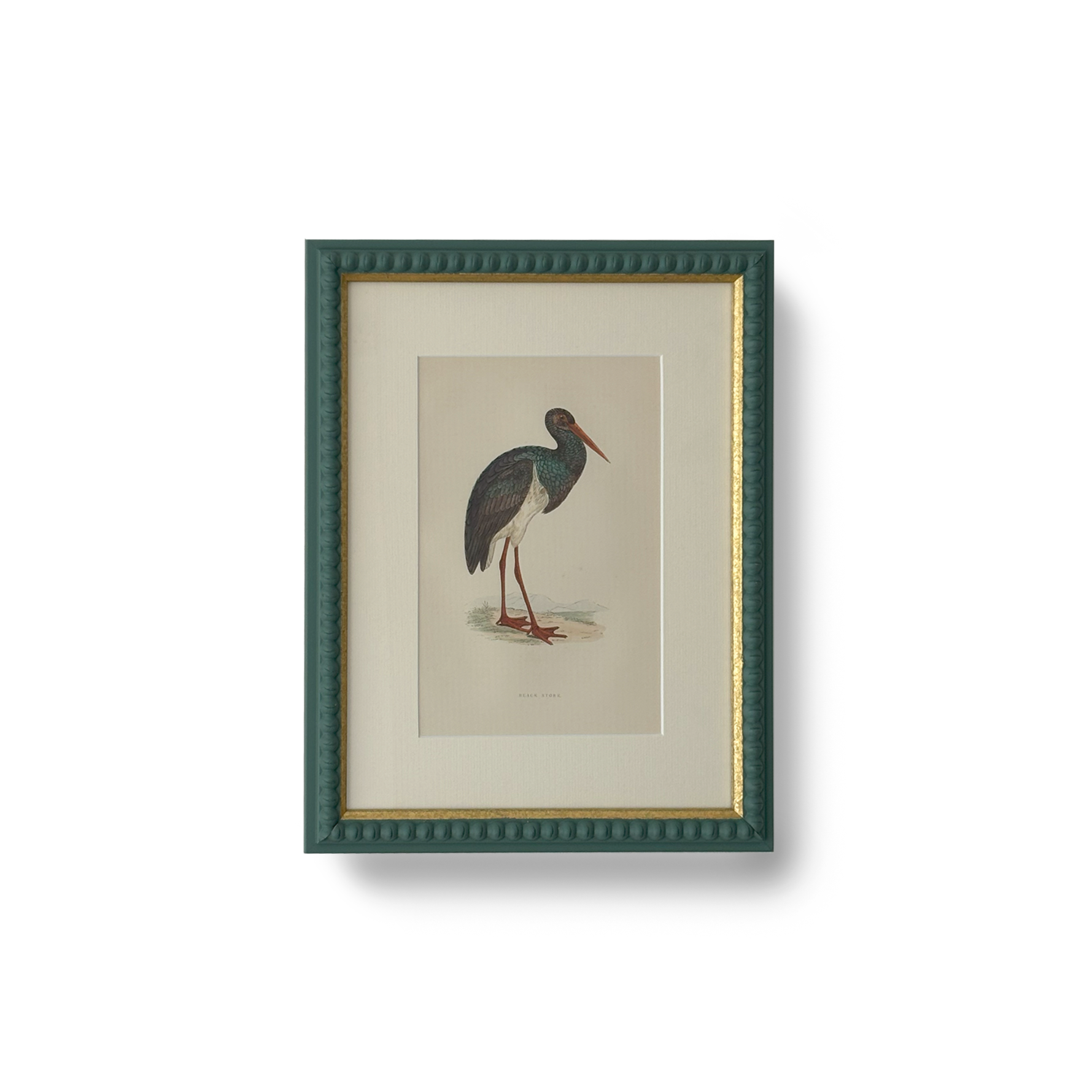 Black Stork - Beeches Art Collective