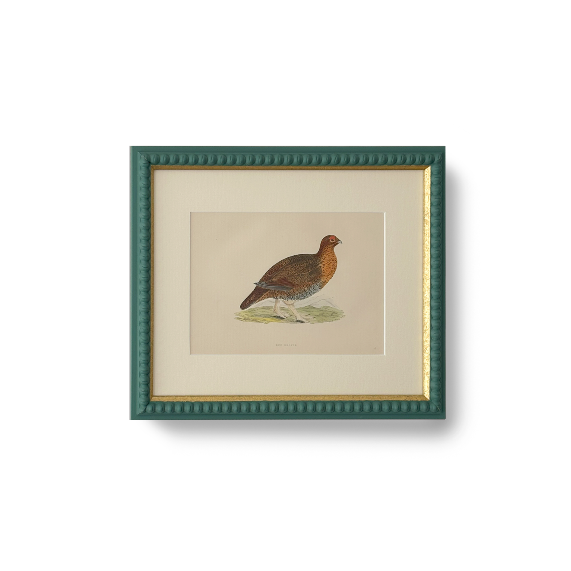 Red Grouse - Beeches Art Collective