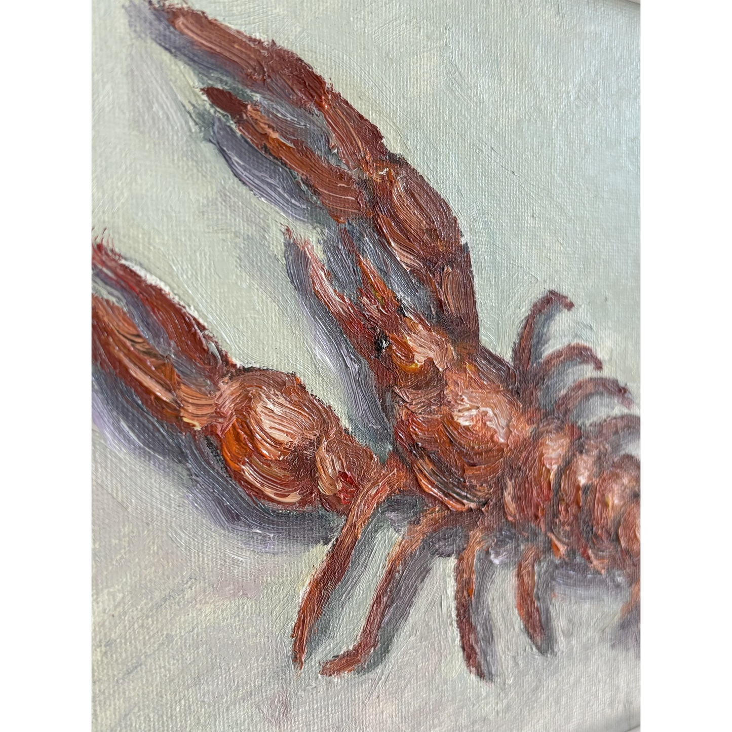 Coastal Catch