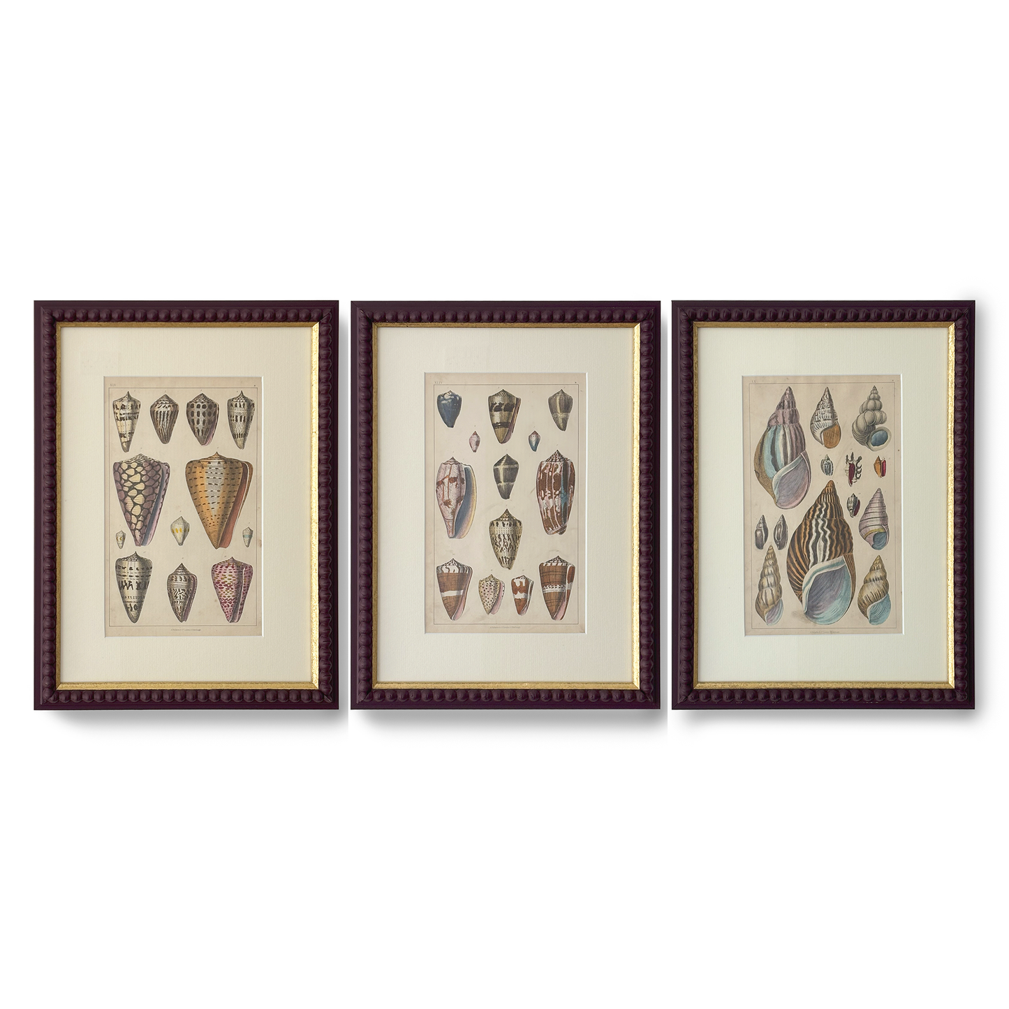 Cones of the Sea - Beeches Art Collective