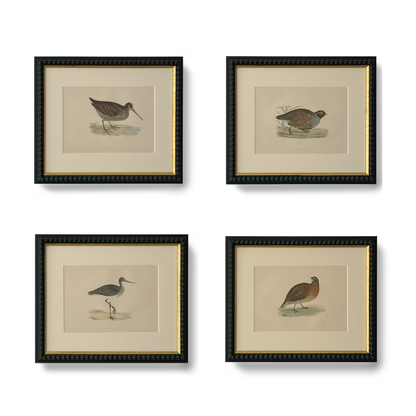 Elegant Wader - Beeches Art Collective