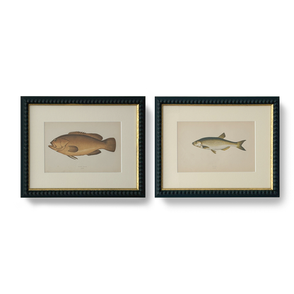 Brown Perch - Beeches Art Collective