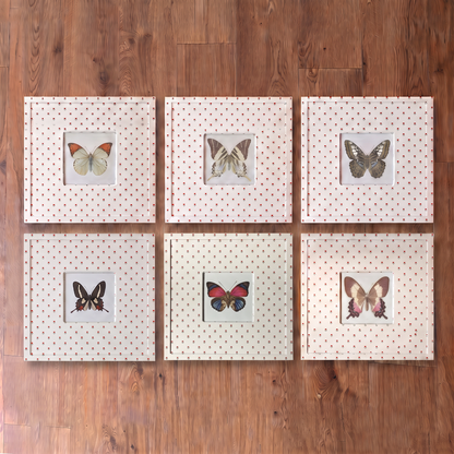 Butterfly Study I