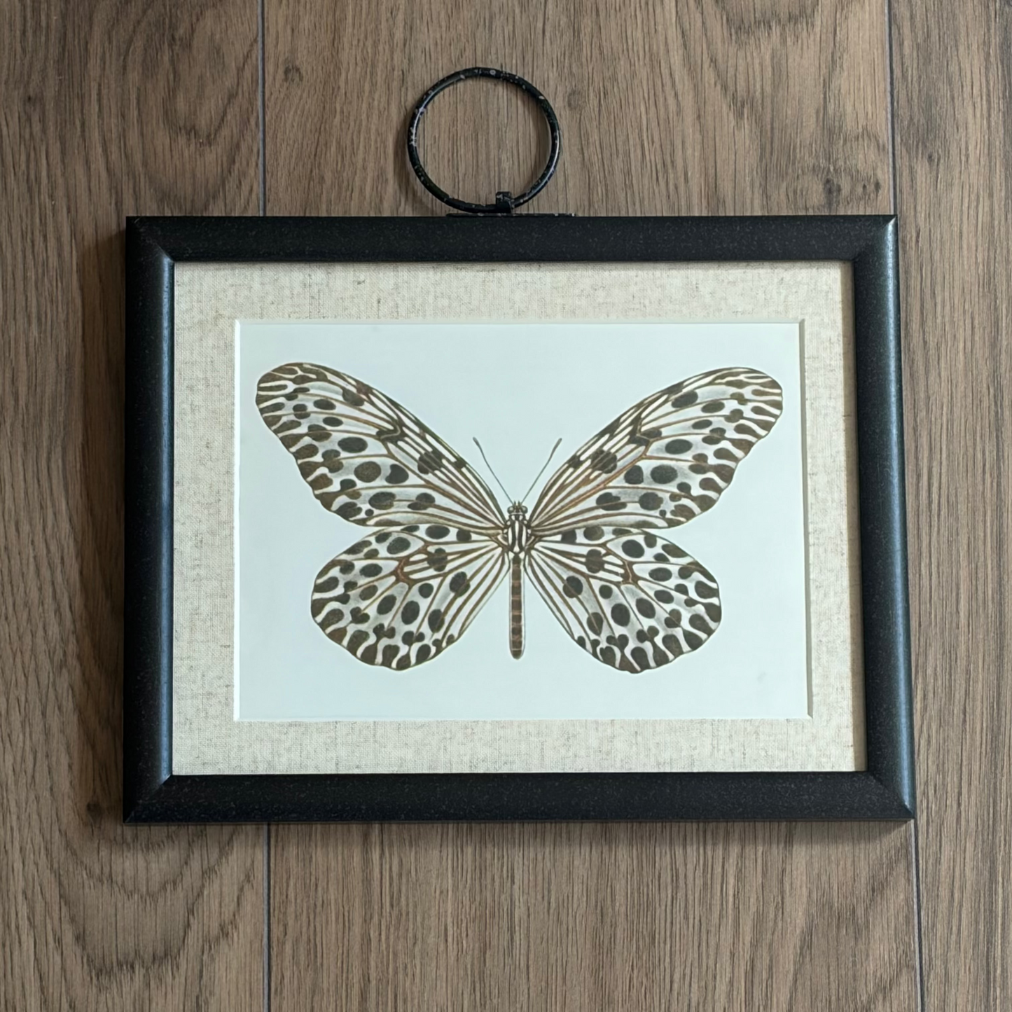 Butterfly Pair I
