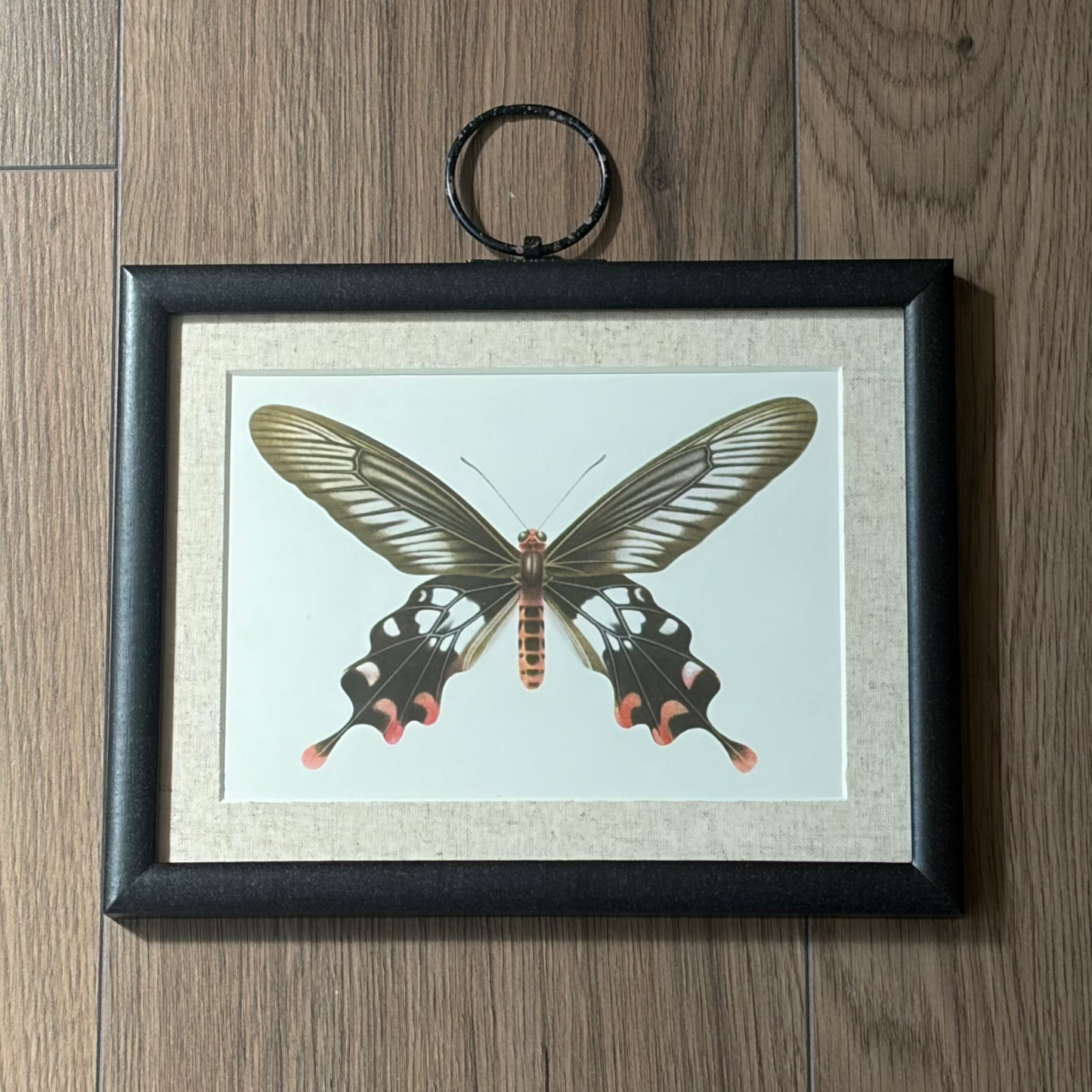 Butterfly Pair I