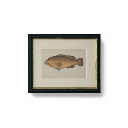Brown Perch - Beeches Art Collective