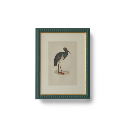 Black Stork - Beeches Art Collective