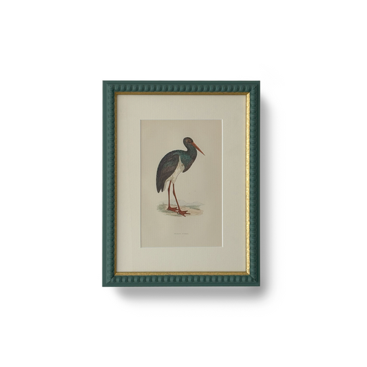 Black Stork - Beeches Art Collective