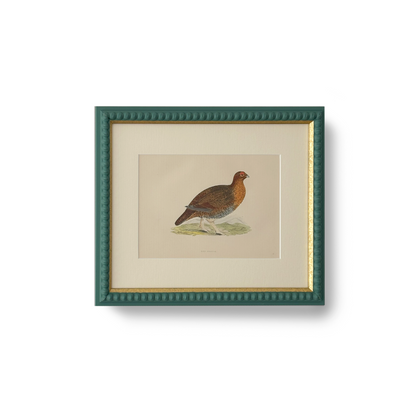Red Grouse - Beeches Art Collective