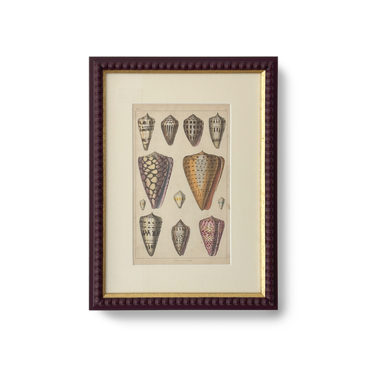 Cones of the Sea - Beeches Art Collective