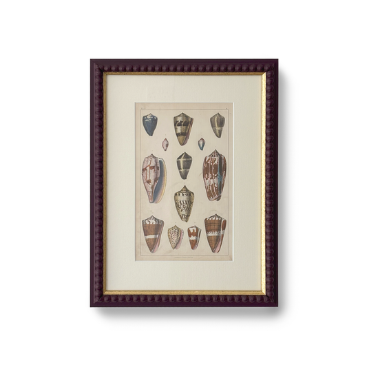 Striped Shell Set - Beeches Art Collective
