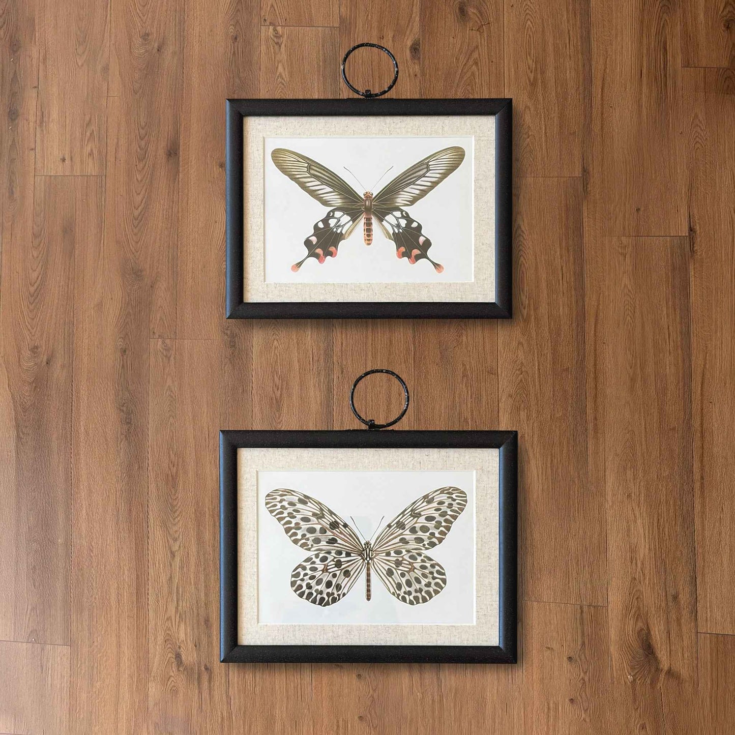 Butterfly Pair I