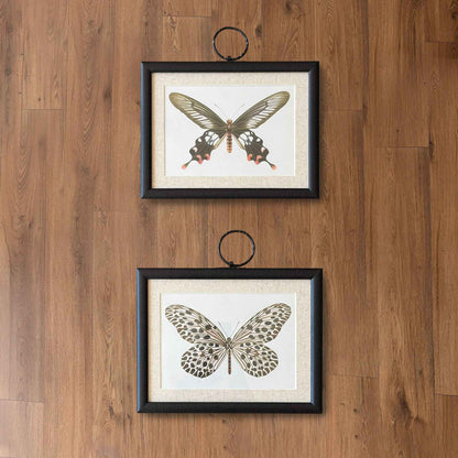 Butterfly Pair I
