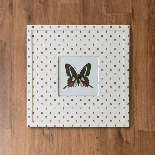 Butterfly Study VI