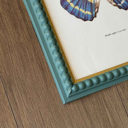 Blue Morpho Butterfly
