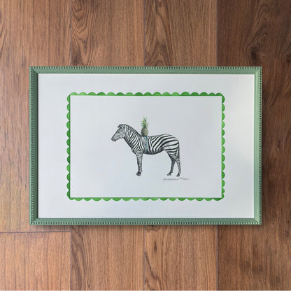 The Zebra’s Curious Cargo