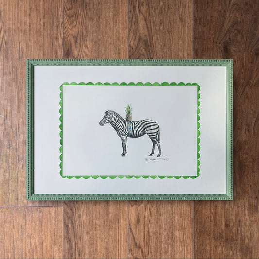 The Zebra’s Curious Cargo
