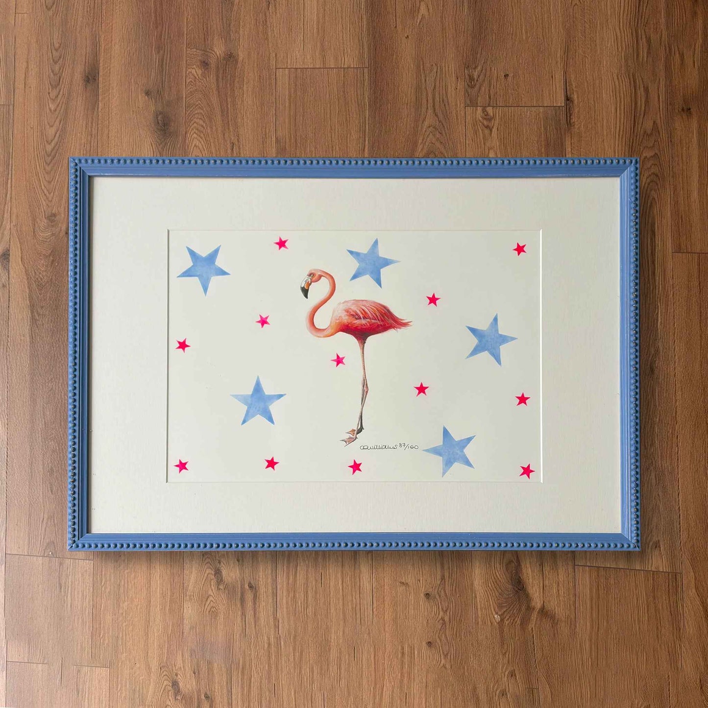 The Star-studded Flamingo