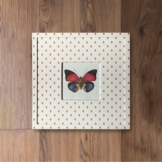 Butterfly Study I