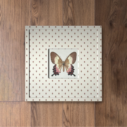 Butterfly Study II