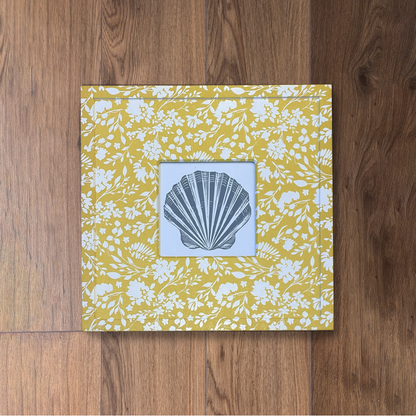 Shell Study I