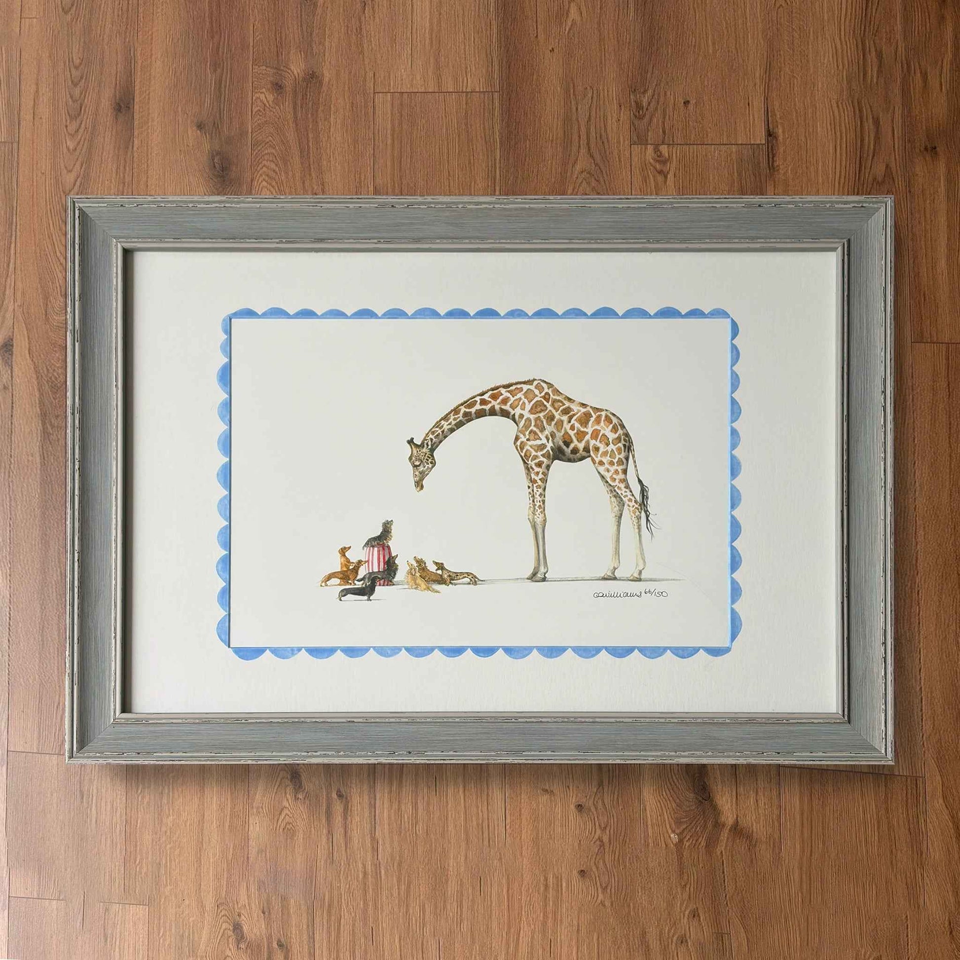 The Gentle Giraffe