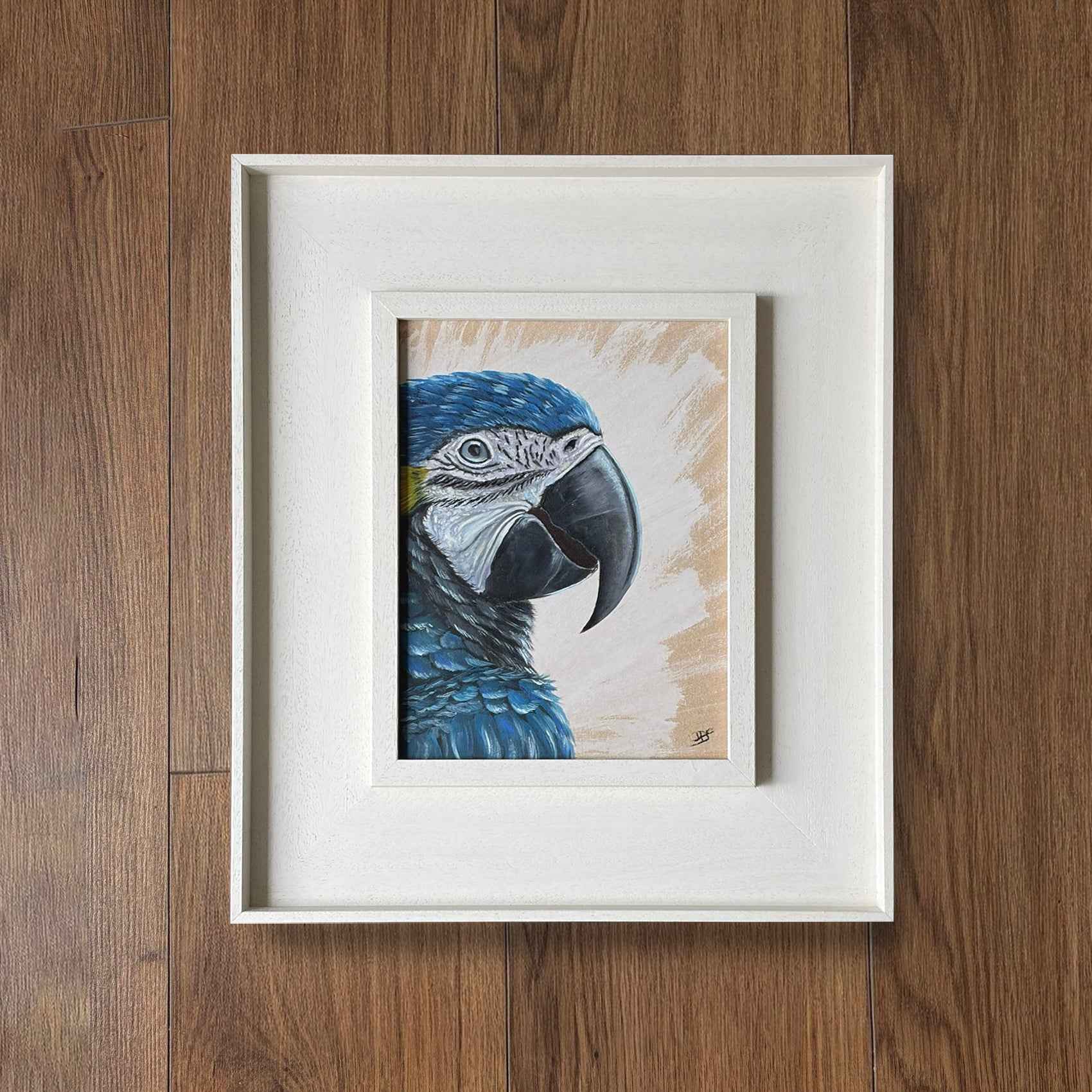 Blue Macaw