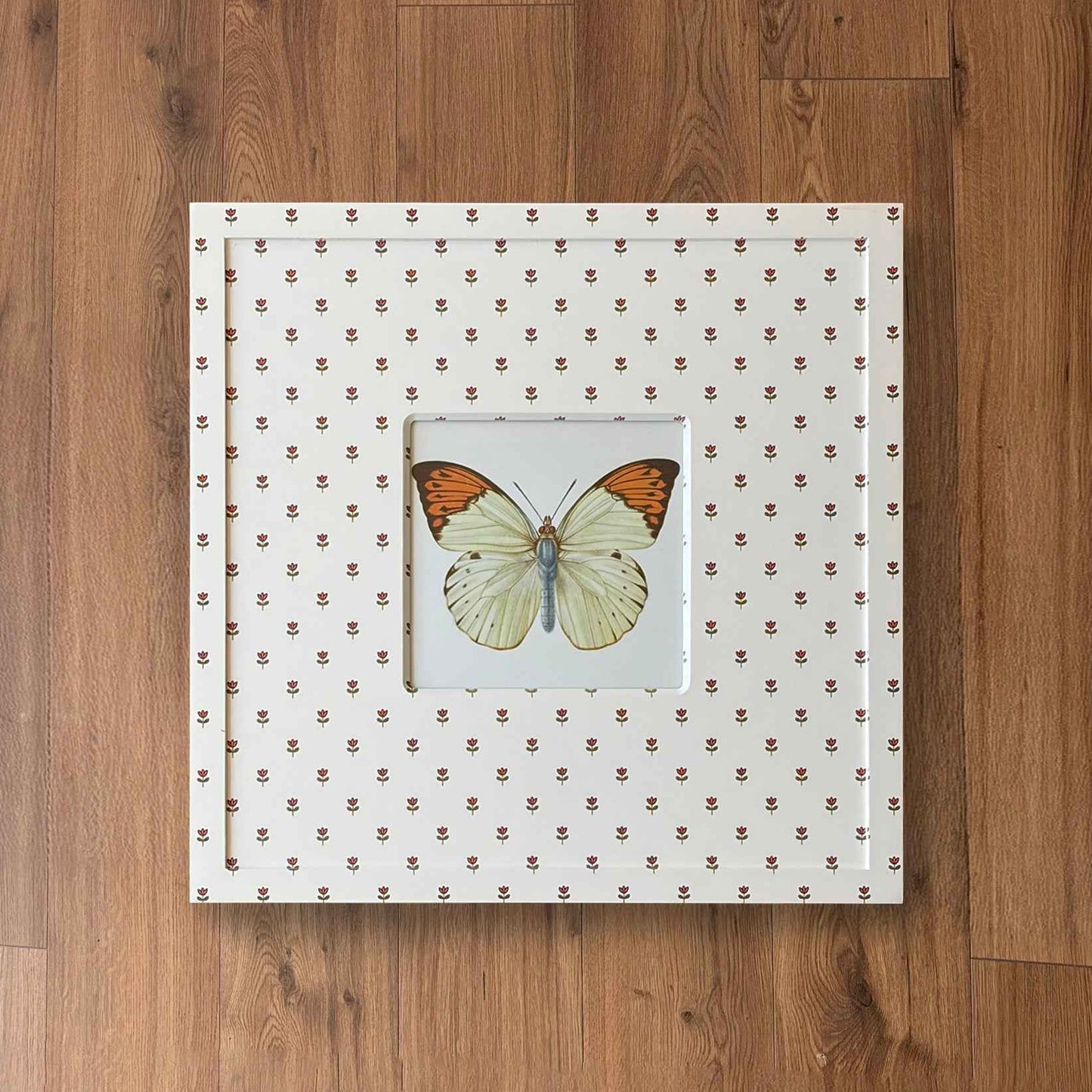 Butterfly Study IV
