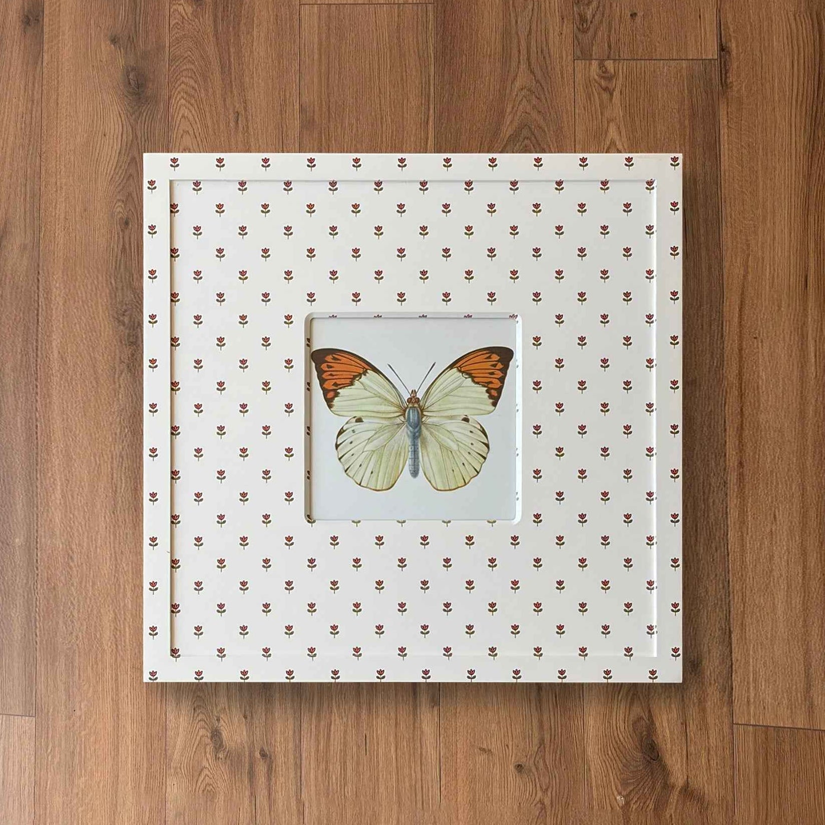 Butterfly Study IV