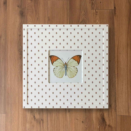 Butterfly Study IV