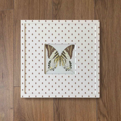 Butterfly Study V