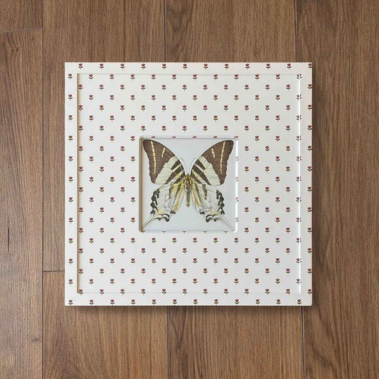 Butterfly Study V